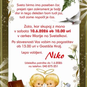 Vabila za BIRMO - komplet 10 vabil za Birmo + kuverte - 225